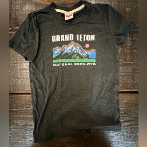 HOMAGE Dark Grey Ntl Parks-Teton Shirt